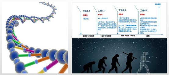 1617355736202117.png image.png